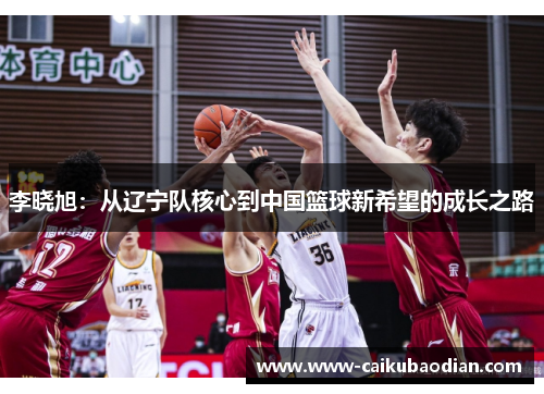 李晓旭：从辽宁队核心到中国篮球新希望的成长之路