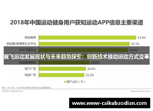 翼飞运动发展现状与未来趋势探索：创新技术推动运动方式变革