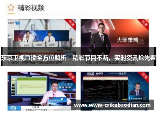 东京卫视直播全方位解析：精彩节目不断，实时资讯抢先看