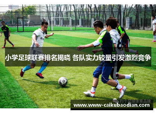 小学足球联赛排名揭晓 各队实力较量引发激烈竞争