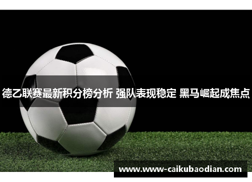 德乙联赛最新积分榜分析 强队表现稳定 黑马崛起成焦点