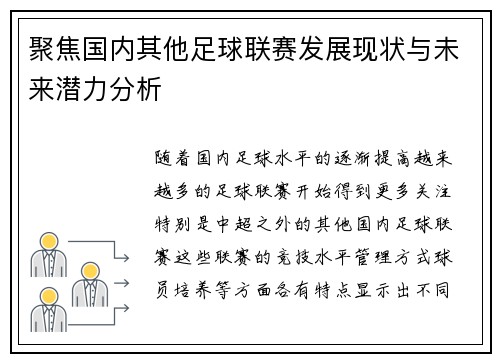 聚焦国内其他足球联赛发展现状与未来潜力分析