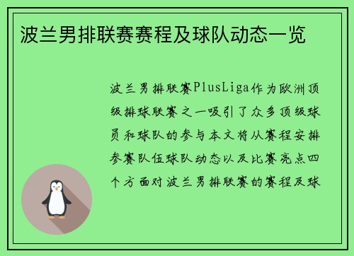 波兰男排联赛赛程及球队动态一览