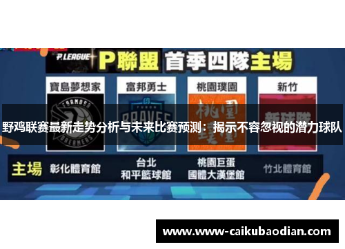 野鸡联赛最新走势分析与未来比赛预测：揭示不容忽视的潜力球队